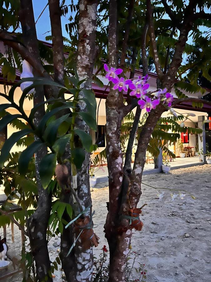 Lacasaaitor Puerto Princesa Dış mekan fotoğraf